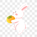 抱着柿子的兔子图片