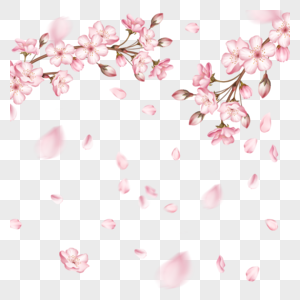 春季光效粉色樱花花瓣飘落高清图片
