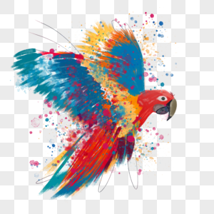 手彩色的鹦鹉鸟飞溅高清图片