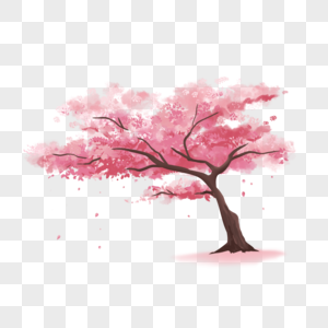 美丽的粉色水彩樱花树高清图片