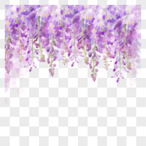 水彩花卉紫藤花紫色花串图片