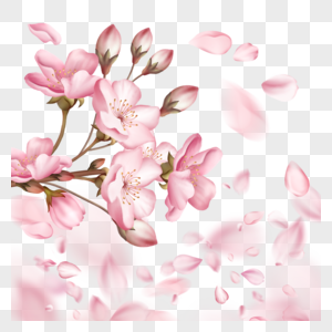 春季光效粉色樱花3d花瓣飘落高清图片