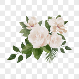 白玫瑰水彩婚礼花卉叶子图片