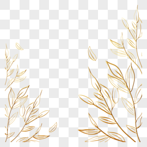 金色叶子植物花卉线稿边框图片
