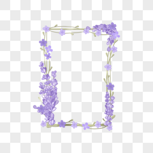 薰衣草边框紫色藤蔓图片