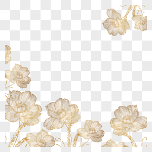 金色线稿几何花卉边框图片