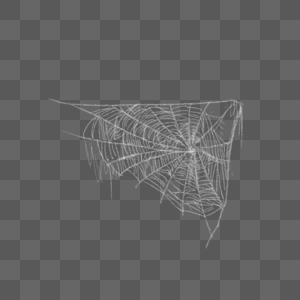 复杂写实蜘蛛丝蜘蛛网图片