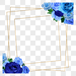 蓝色精美玫瑰花蓝金花卉植物花朵叶子图片