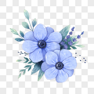 水彩蓝色银莲花花簇图片