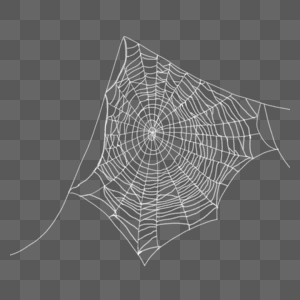 写实白色网状蜘蛛网图片