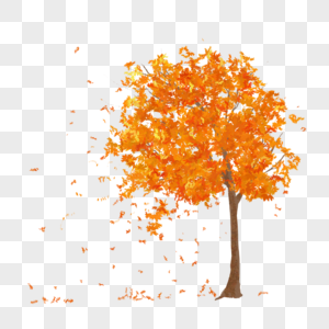 秋天金色叶子树木插图图片