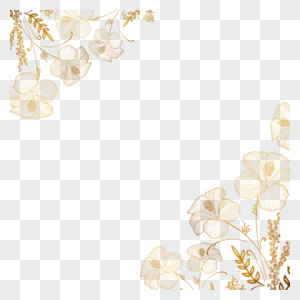 植物金色线稿边框图片