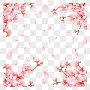 粉色樱花春季花瓣光效飘落图片