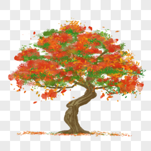 水彩写实凤凰木大树红色花朵叶子绿色植物图片