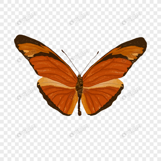 复古质感橙黄色蝴蝶图片