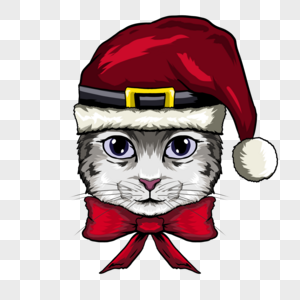 圣诞节帽子可爱猫咪肖像图片