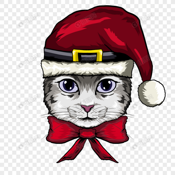 圣诞节帽子可爱猫咪肖像图片