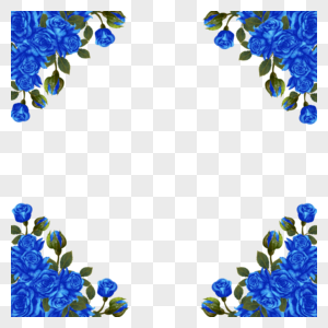 蓝色花朵玫瑰花边框蓝金花卉植物叶子图片