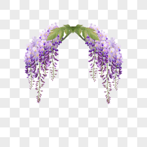 紫藤花拱门紫色水彩花卉图片