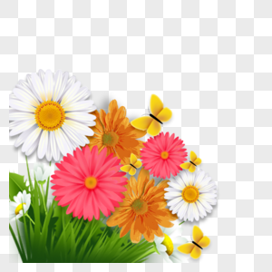 彩色花朵小雏菊元素图片