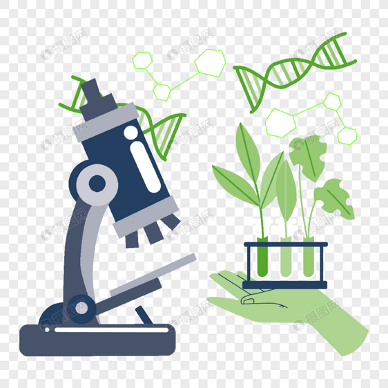 植物基因研究实验图片