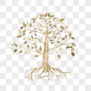 抽象树木树根大树树叶植物根系高清图片