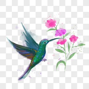 美丽的绿色蜂鸟水彩画动物鸟类花朵图片