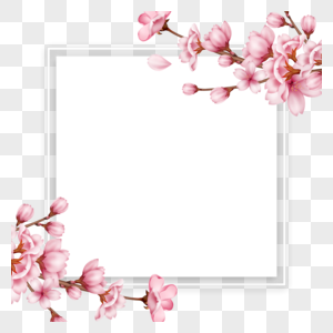 春天树枝樱花正方形边框图片