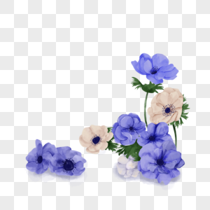 蓝白色水彩婚礼花卉银莲花图片