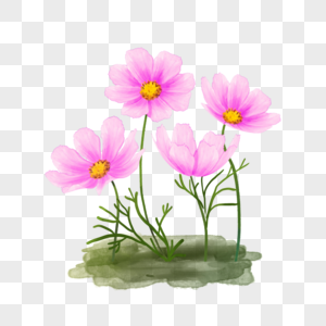 水彩桑格花花卉植物图片