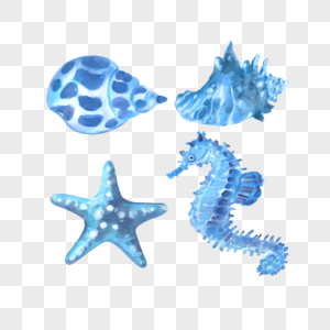 蓝色水彩海洋生物海星图片