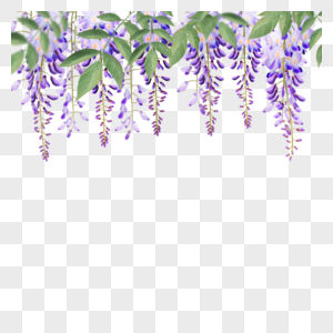 水彩花卉紫藤花叶子图片
