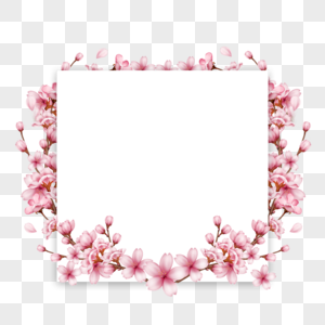 正方形树枝花苞春天樱花边框图片