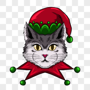 头戴圣诞精灵帽的猫咪肖像图片