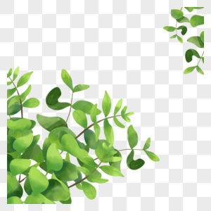 春天绿色植物背景水彩尤加利叶边框图片