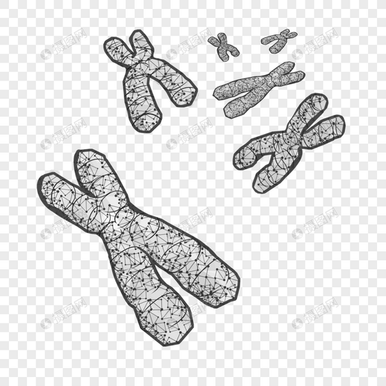 抽象多边形染色体遗传物质医学图片