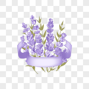 薰衣草花束边框紫色图片