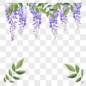 水彩紫藤花花卉叶子图片