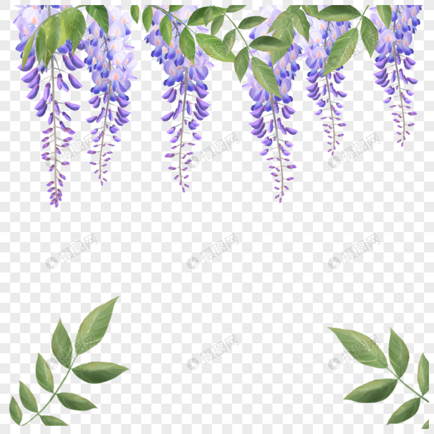 水彩紫藤花花卉叶子图片