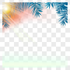 阳光照射下的椰树边框图片