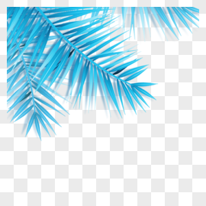 蓝色的椰子树叶图片