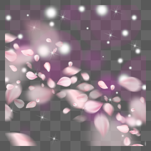 紫粉色光效光斑樱花花瓣图片