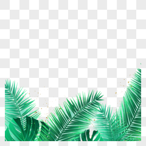 蓝绿色的椰子叶和龟背竹图片