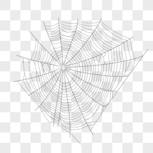 蜘蛛网昆虫细丝黑色线条图片