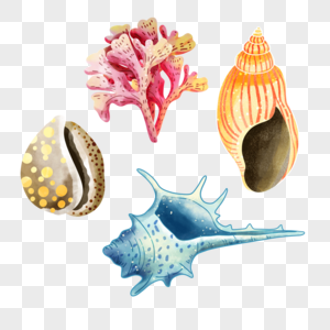贝壳组合海洋水彩珊瑚海洋生物图片