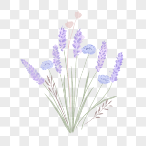 野花花束水彩风格婚礼淡紫色图片