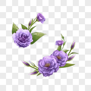 紫色洋桔梗花剪贴画图片