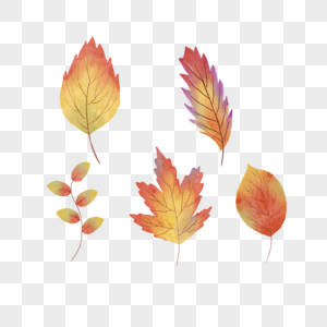 水彩风格的秋天叶子图片