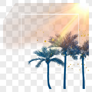 阳光椰树棕榈树植物边框图片