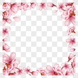 粉色春天花苞樱花边框图片